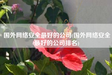 国外网络安全最好的公司(国外网络安全最好的公司排名)