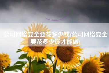 公司网络安全要花多少钱(公司网络安全要花多少钱才能做)