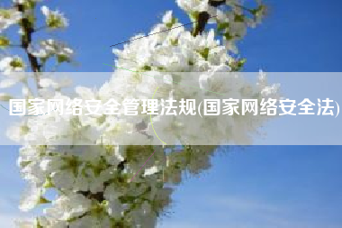国家网络安全管理法规(国家网络安全法)