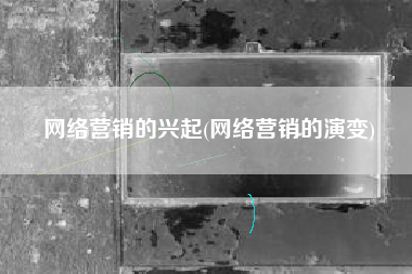 网络营销的兴起(网络营销的演变)