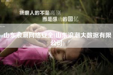 山东浪潮网络安全(山东浪潮大数据有限公司)