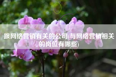 跟网络营销有关的公司(与网络营销相关的岗位有哪些)
