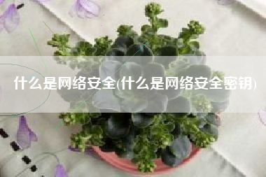 什么是网络安全(什么是网络安全密钥)