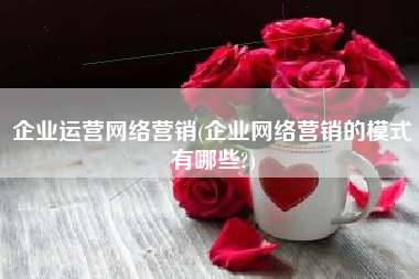 企业运营网络营销(企业网络营销的模式有哪些?)