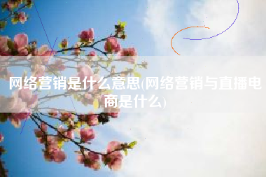 网络营销是什么意思(网络营销与直播电商是什么)