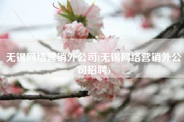 无锡网络营销外公司(无锡网络营销外公司招聘)