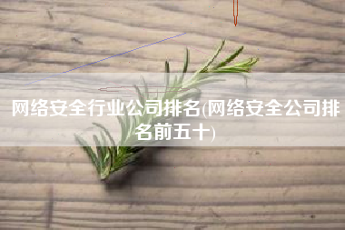 网络安全行业公司排名(网络安全公司排名前五十)