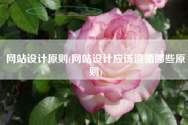 网站设计原则(网站设计应该遵循哪些原则)