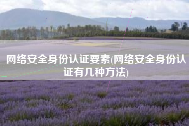 网络安全身份认证要素(网络安全身份认证有几种方法)