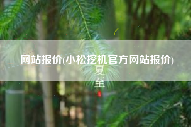 网站报价(小松挖机官方网站报价)
