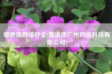 粤港澳网络安全(粤港澳广州网络科技有限公司)