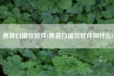 惠普扫描仪软件(惠普扫描仪软件叫什么)