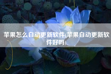 苹果怎么自动更新软件(苹果自动更新软件好吗)