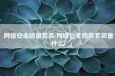 网络安全防御套装(网络安全防御套装是什么)