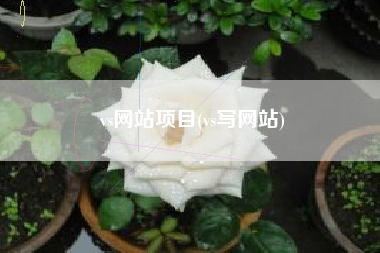 vs网站项目(vs写网站)