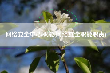 网络安全中心职能(网络安全职能职责)