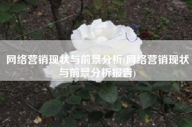 网络营销现状与前景分析(网络营销现状与前景分析报告)