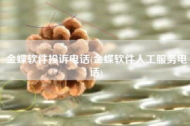 金蝶软件投诉电话(金蝶软件人工服务电话)