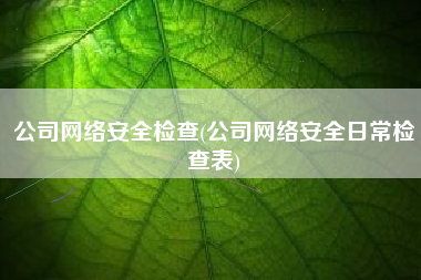 公司网络安全检查(公司网络安全日常检查表)