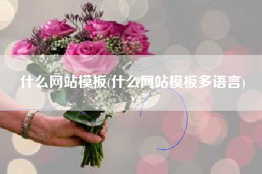 什么网站模板(什么网站模板多语言)