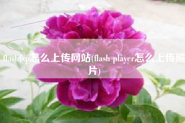 flashfxp怎么上传网站(flash player怎么上传照片)