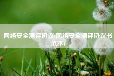 网络安全测评协议(网络安全测评协议书范本)