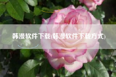韩漫软件下载(韩漫软件下载方式)