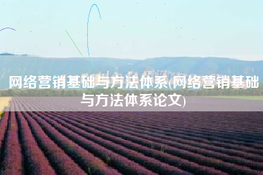 网络营销基础与方法体系(网络营销基础与方法体系论文)