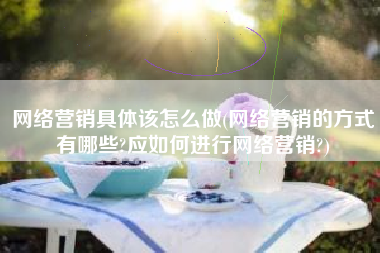 网络营销具体该怎么做(网络营销的方式有哪些?应如何进行网络营销?)