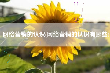 网络营销的认识(网络营销的认识有哪些)