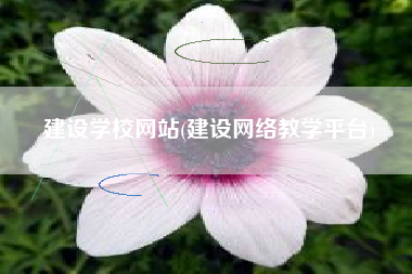 建设学校网站(建设网络教学平台)