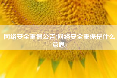 网络安全重保公告(网络安全重保是什么意思)
