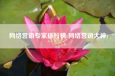 网络营销专家排行榜(网络营销大神)