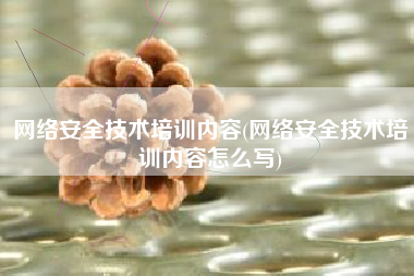 网络安全技术培训内容(网络安全技术培训内容怎么写)