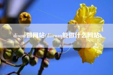discuz做网站(discuzq能做什么网站)