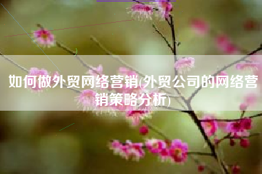 如何做外贸网络营销(外贸公司的网络营销策略分析)