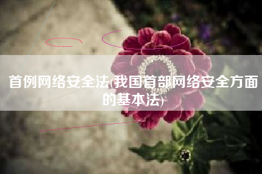 首例网络安全法(我国首部网络安全方面的基本法)