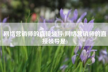 网络营销师的直接领导(网络营销师的直接领导是)