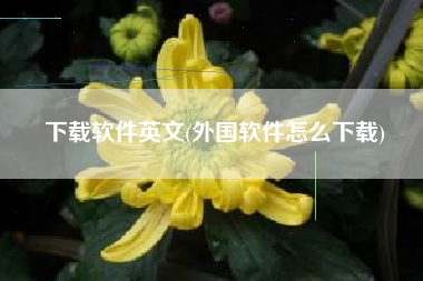 下载软件英文(外国软件怎么下载)