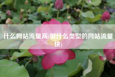 什么网站流量高(做什么类型的网站流量快)