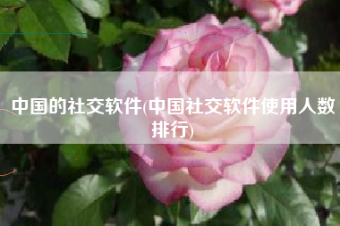 中国的社交软件(中国社交软件使用人数排行)