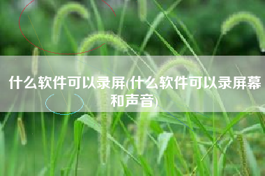 什么软件可以录屏(什么软件可以录屏幕和声音)