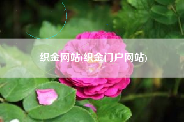 织金网站(织金门户网站)