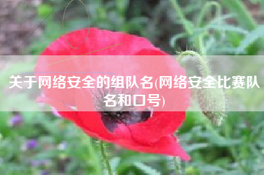 关于网络安全的组队名(网络安全比赛队名和口号)