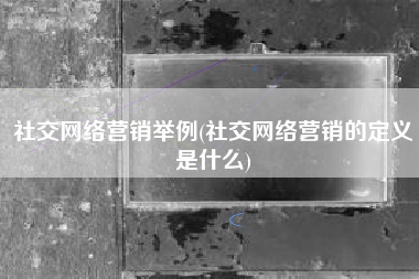 社交网络营销举例(社交网络营销的定义是什么)