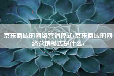 京东商城的网络营销模式(京东商城的网络营销模式是什么)