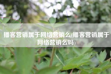 播客营销属于网络营销么(播客营销属于网络营销么吗)
