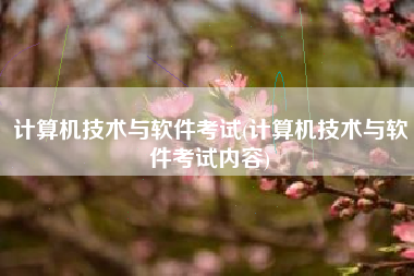 计算机技术与软件考试(计算机技术与软件考试内容)
