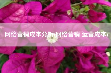 网络营销成本分析(网络营销 运营成本)