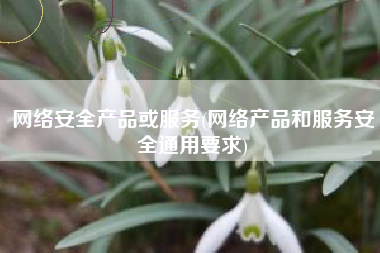 网络安全产品或服务(网络产品和服务安全通用要求)